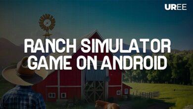 Ranch Simulator